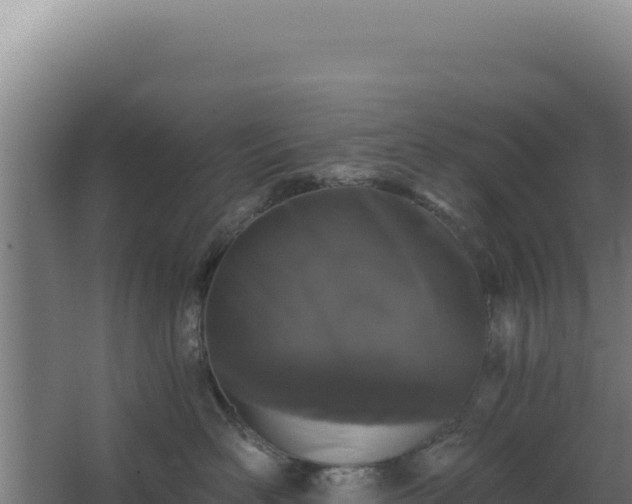 X0000068300526200604281713