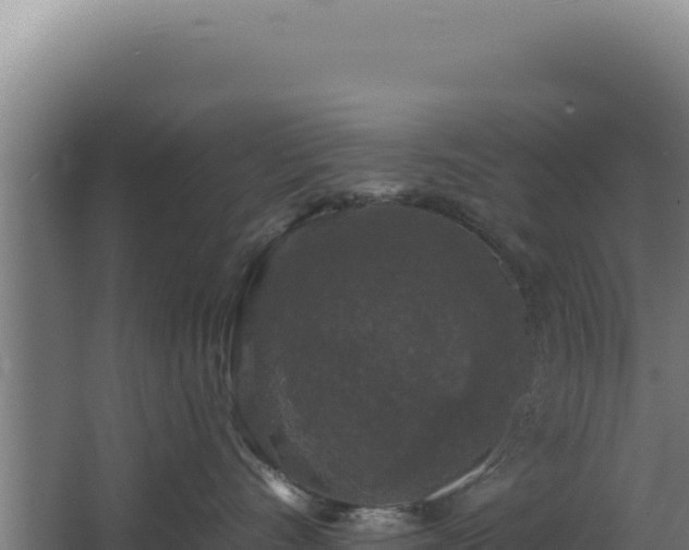 X0000068300528200604281713