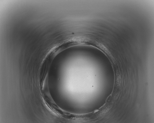 X0000068300530200604281712