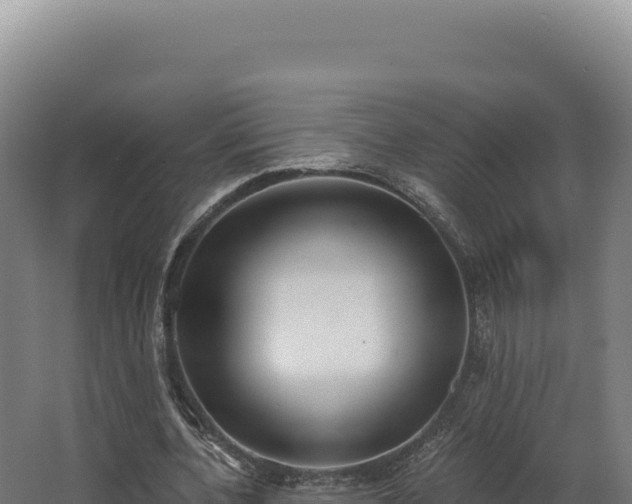 X0000068300532200604281712