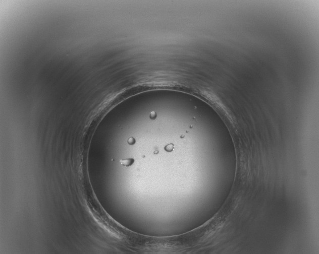 X0000068300533200604281712