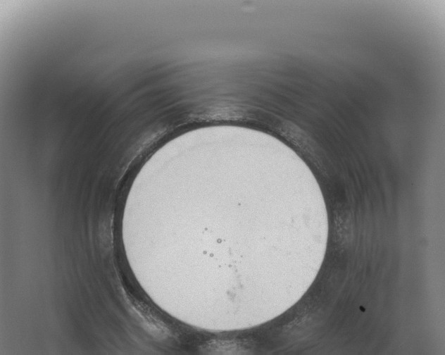 X0000068300534200604281712