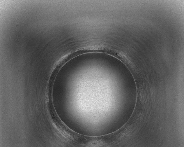 X0000068300536200604281712