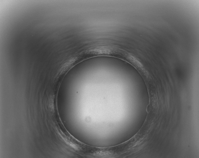 X0000068300537200604281712