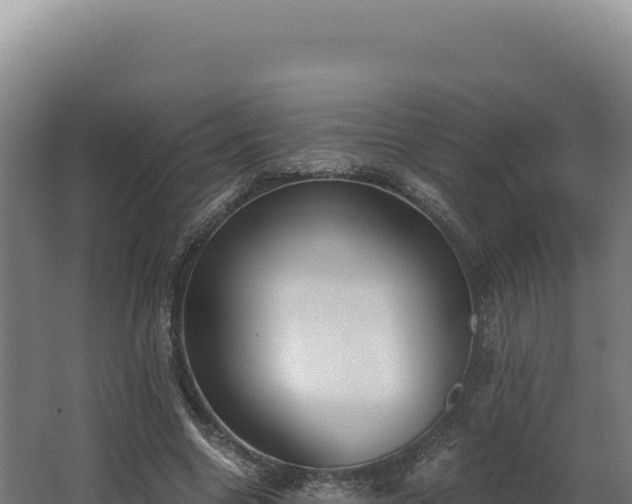 X0000068300538200604281712