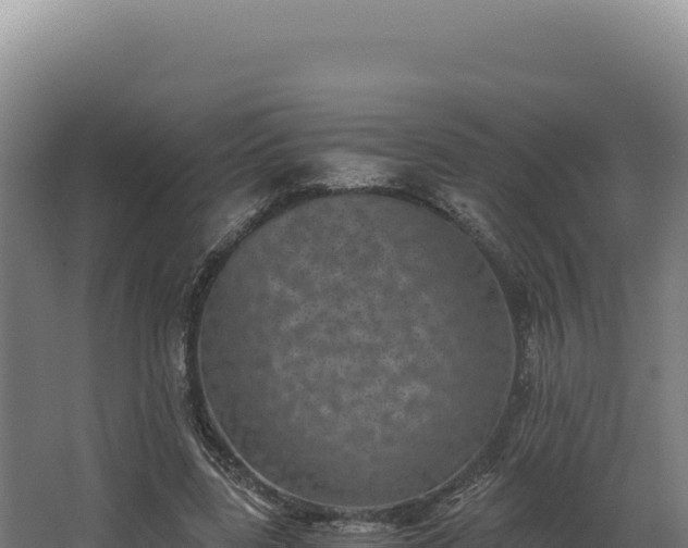 X0000068300539200604281712