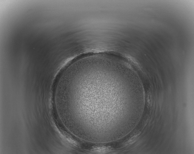 X0000068300540200604281712