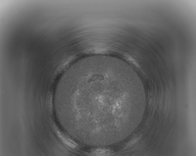 X0000068300542200604281712