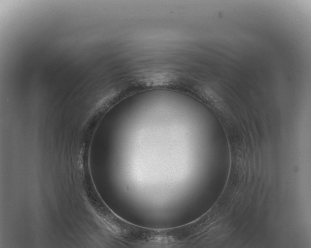 X0000068300543200604281712