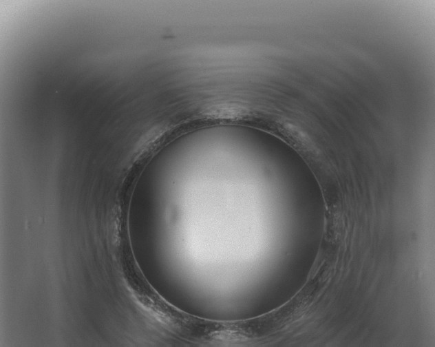 X0000068300544200604281712