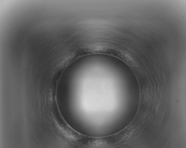 X0000068300546200604281712