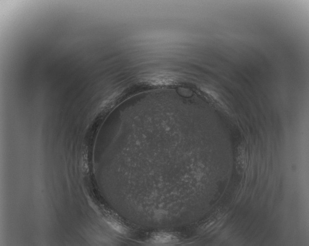 X0000068300547200604281712