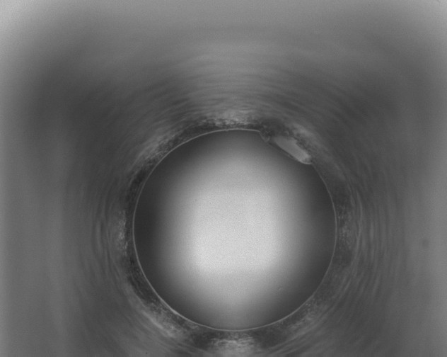 X0000068300548200604281712