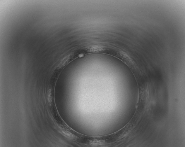 X0000068300549200604281712