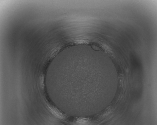 X0000068300550200604281712