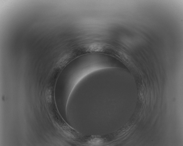 X0000068300551200604281712