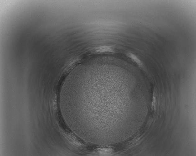 X0000068300552200604281712