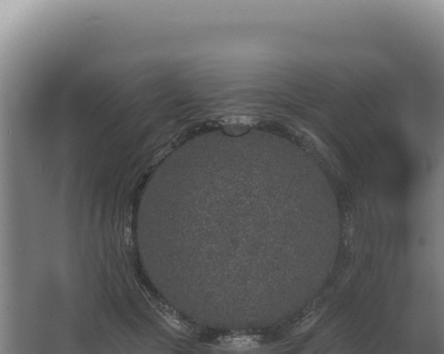 X0000068300553200604281712