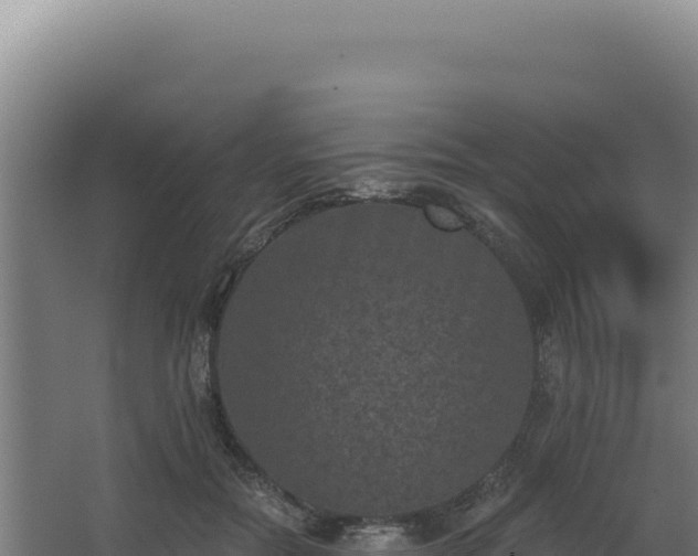 X0000068300554200604281712