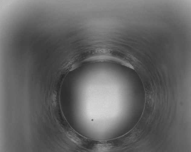 X0000068300556200604281712