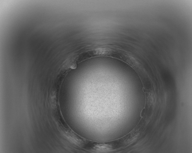 X0000068300557200604281712