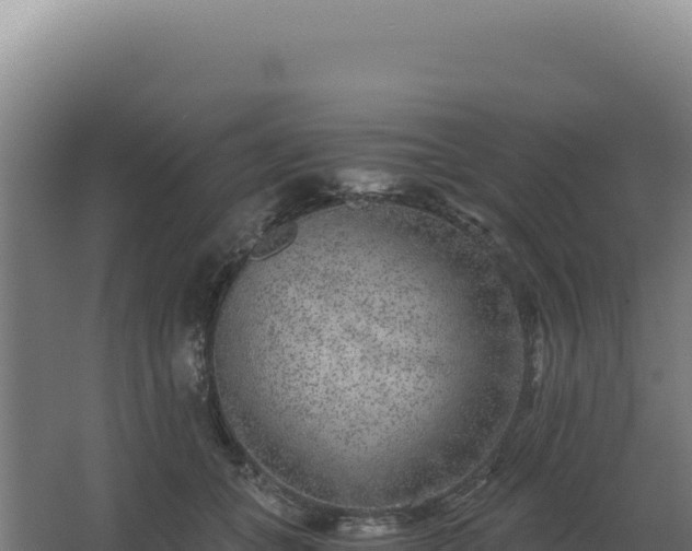 X0000068300559200604281712