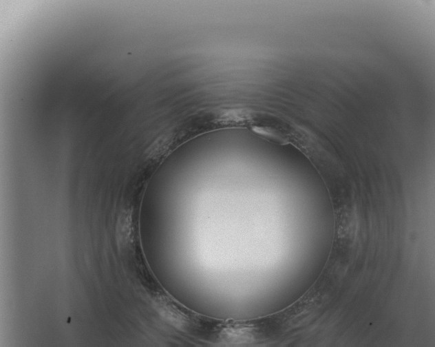 X0000068300560200604281712