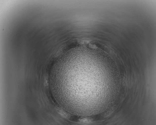 X0000068300561200604281712