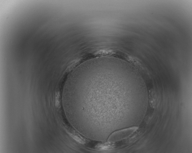 X0000068300563200604281712