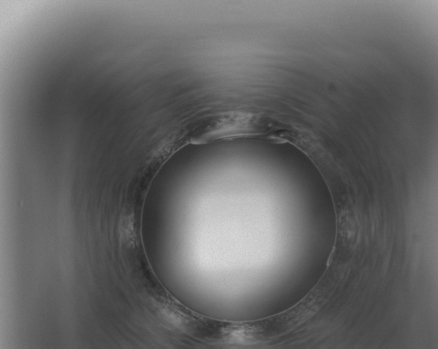 X0000068300564200604281712