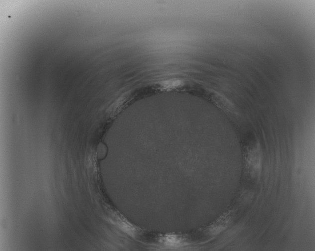 X0000068300565200604281712