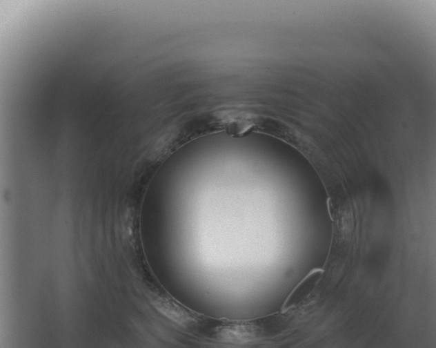 X0000068300567200604281712