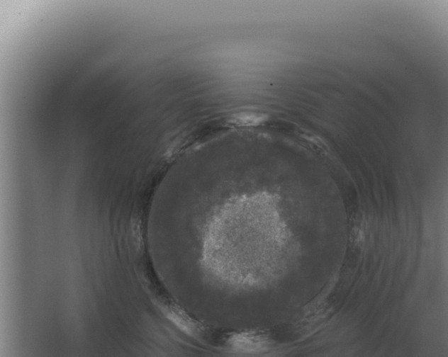 X0000068300568200604281712