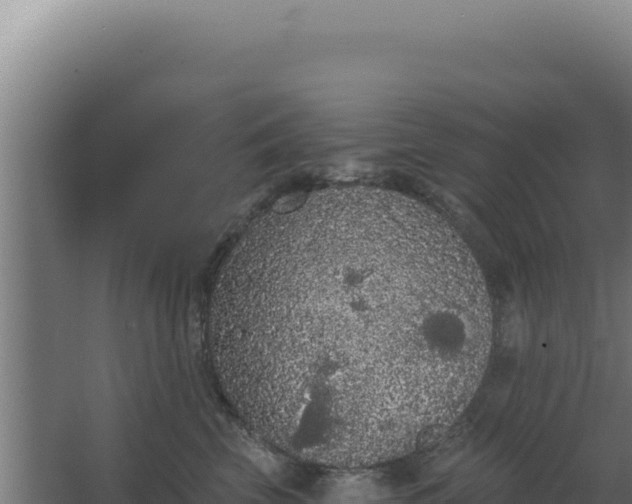 X0000068300569200604281712