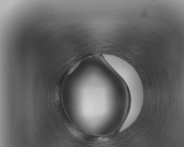 X0000068300570200604281712