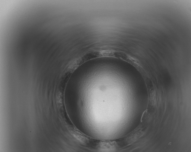 X0000068300571200604281712