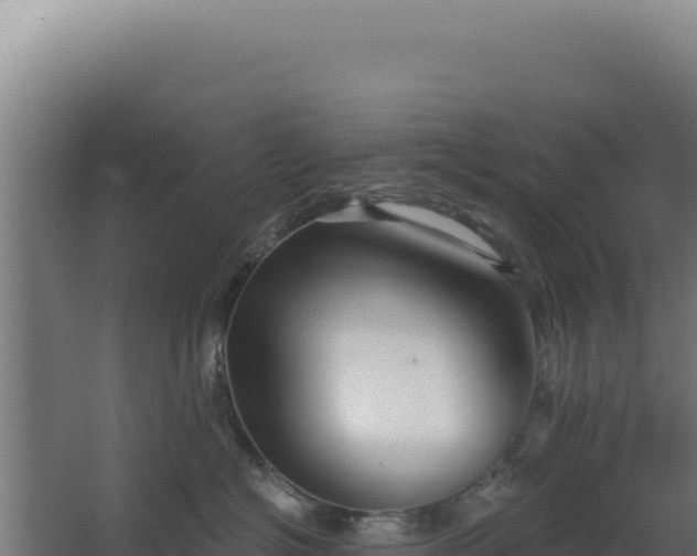 X0000068300574200604281712