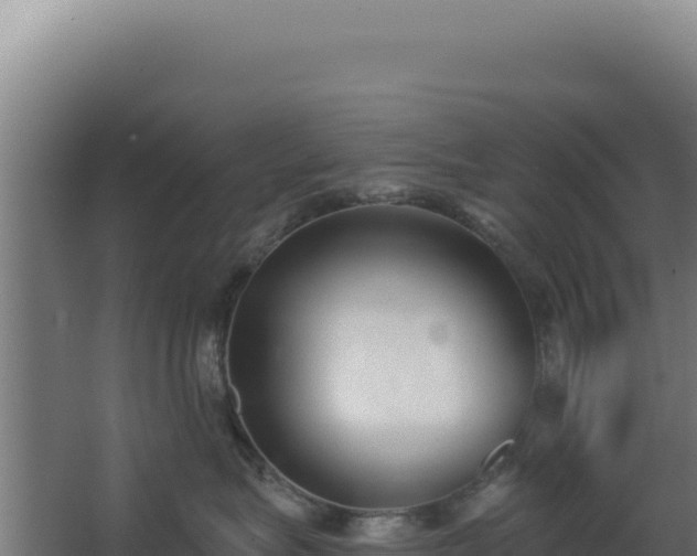 X0000068300575200604281712