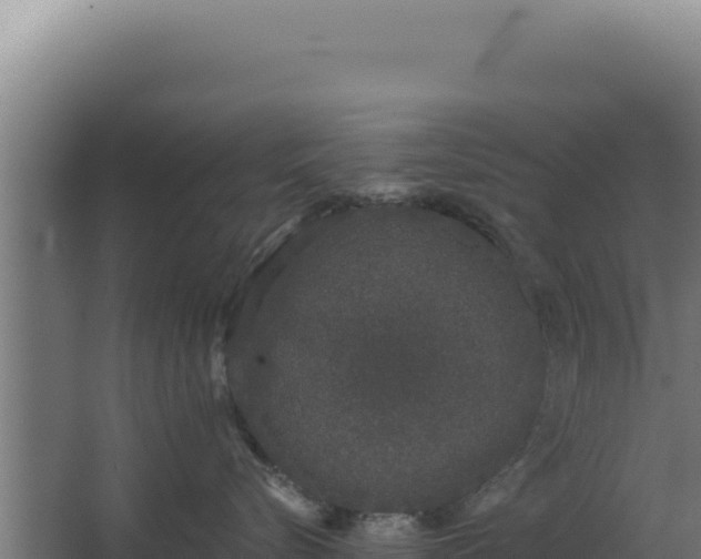 X0000068300576200604281712