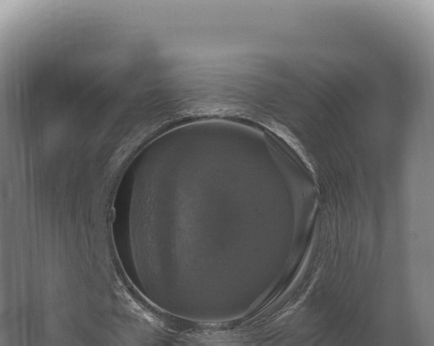 X0000068300577200604281712