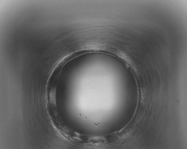 X0000068300580200604281712