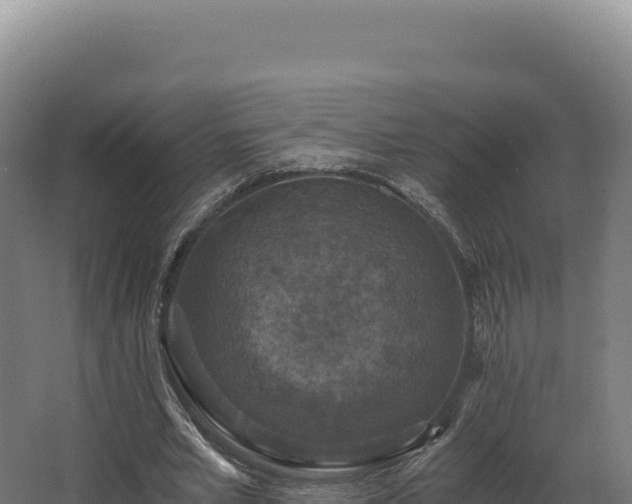 X0000068300581200604281712