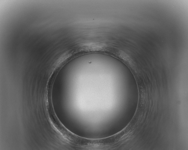 X0000068300582200604281712