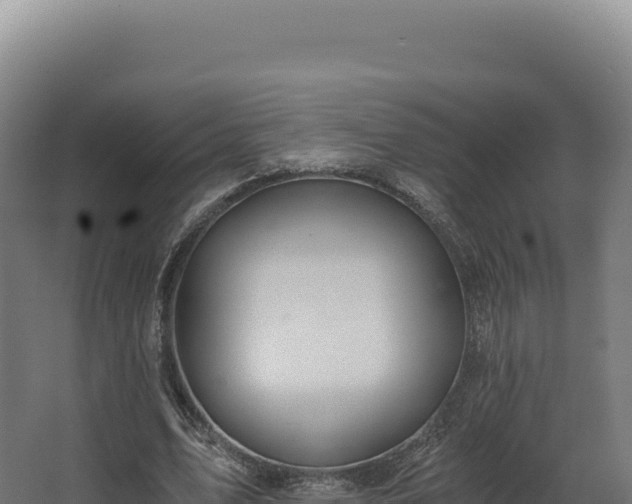 X0000068300583200604281712