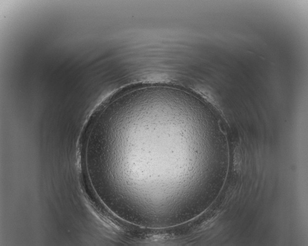 X0000068300584200604281712