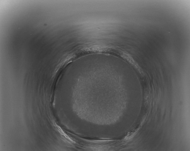 X0000068300585200604281712