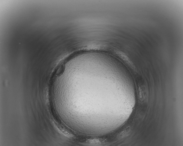 X0000068300588200604281711