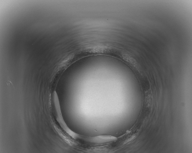 X0000068300589200604281711