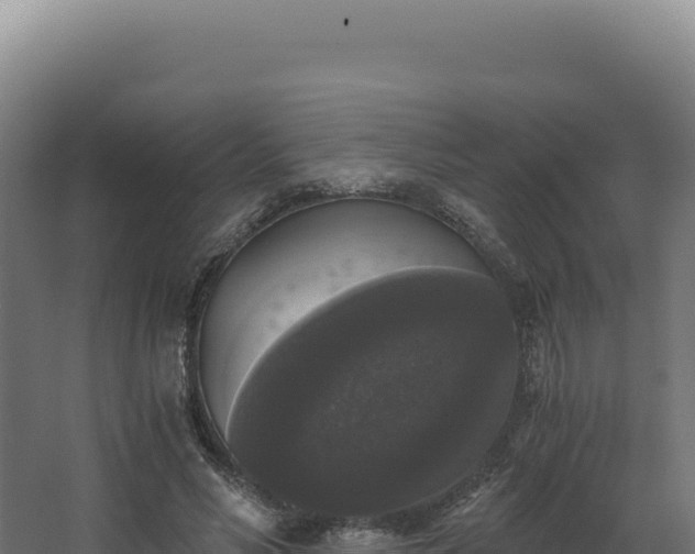 X0000068300590200604281711