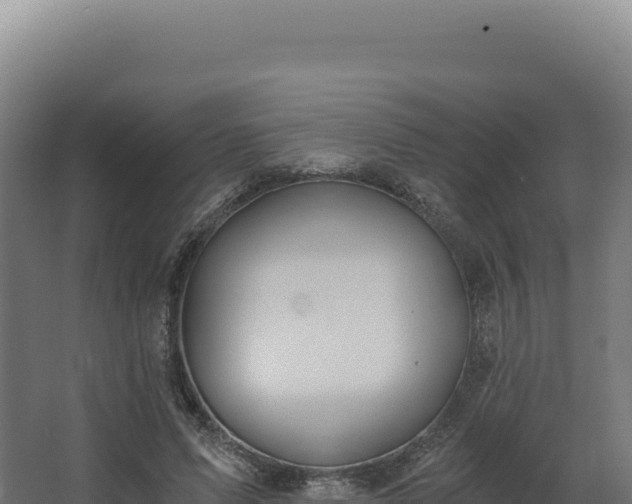 X0000068300591200604281711